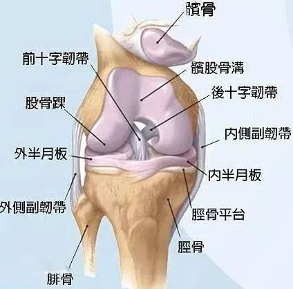 半月板已損傷，如何鍛煉有助於康復？ 健康 第5張