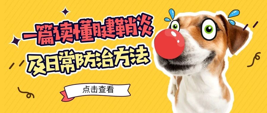 收藏 | 一篇读懂腱鞘炎及日常防治方法！