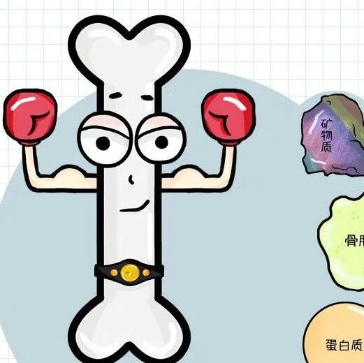 盘点骨质疏松常见谣言，90%的人都上当了