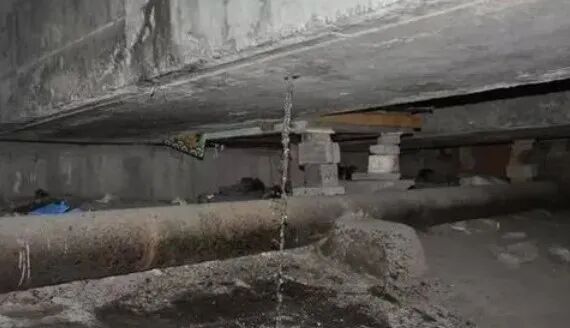 橋梁結(jié)構(gòu)檢測(cè)：結(jié)構(gòu)雷達(dá)GP8800在橋梁結(jié)構(gòu)檢測(cè)中的應(yīng)用