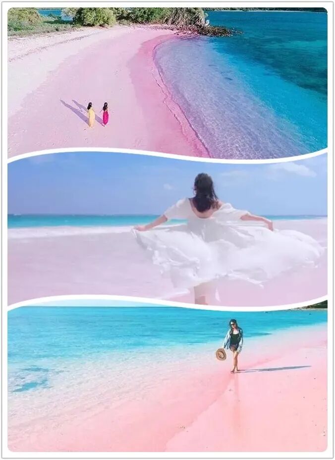 9元抢原价38元南海湿地门票,来打卡网红粉色沙滩,给你一场浪漫的粉色