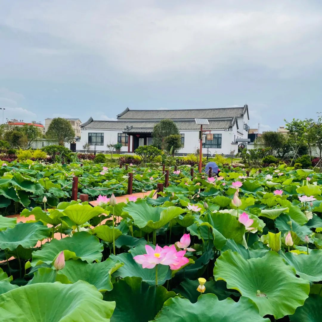 惠来沟疏湿地公园图片