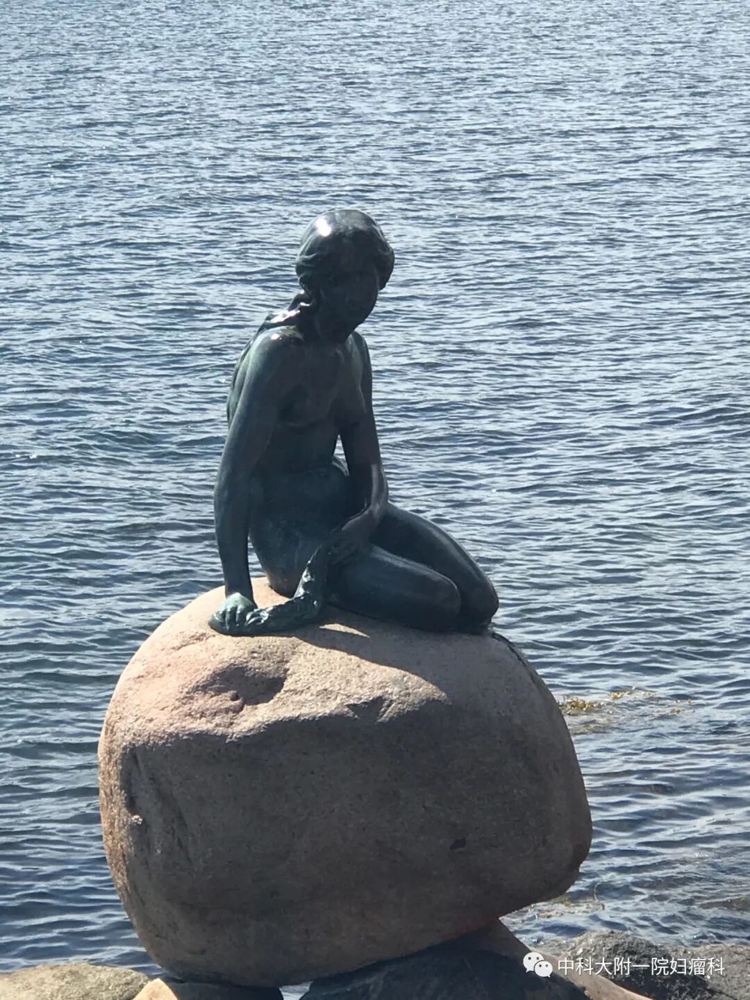 多头腹带怎么用经腹手术术后康复必备物品---多头腹带_https://www.jmylbn.com_新闻资讯_第2张