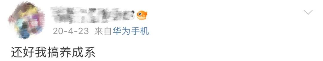 登陆少年在抽象赛道一骑绝尘