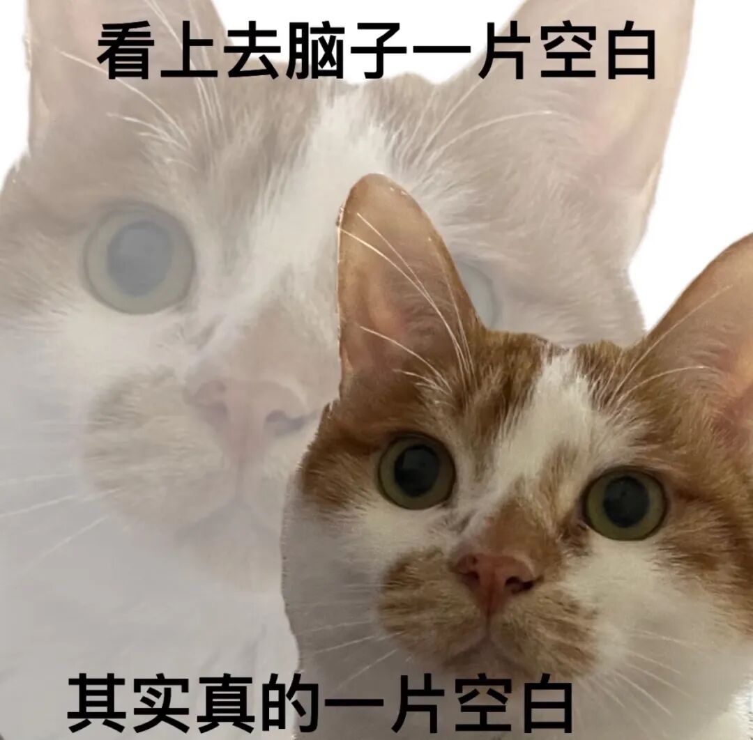 登陆少年在抽象赛道一骑绝尘
