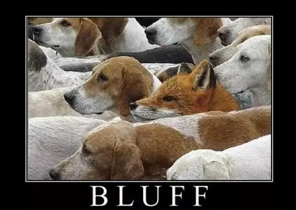 GG扑克官方下载