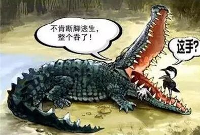 GG扑克官方下载