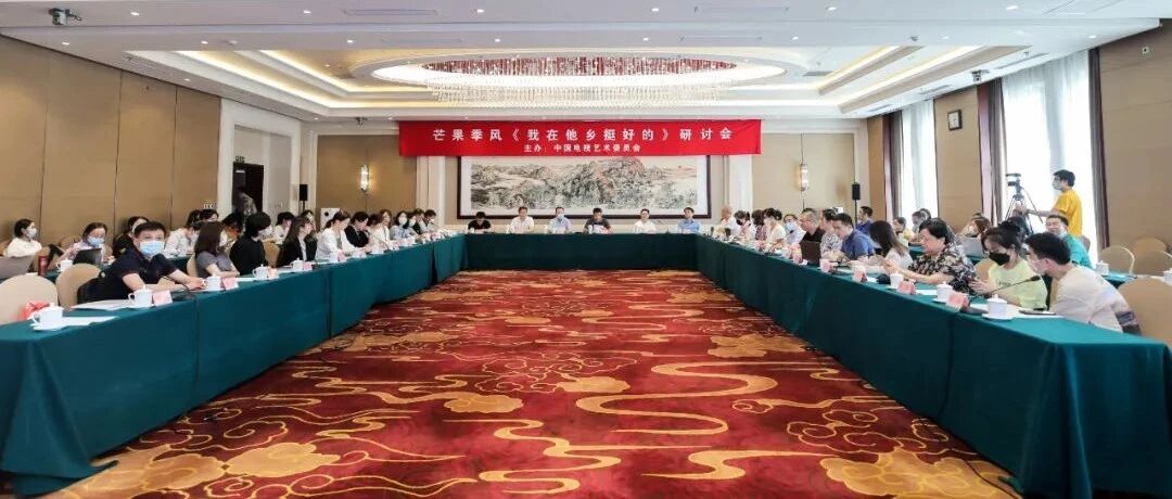 《我在他乡挺好的》创作密码和剧集“芒果季风”｜研讨