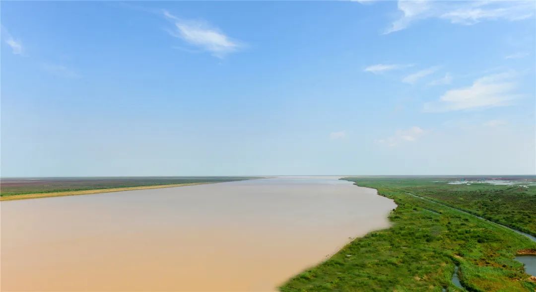 深度遊東營在黃河故道喝一碗鮮魚湯