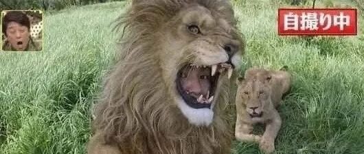 被迫偷了邻居的鞋