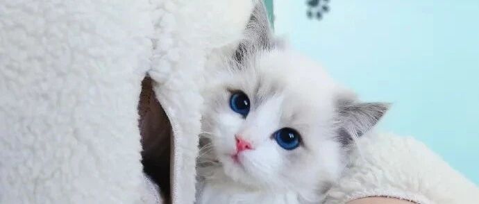 酒店装修能有多糊弄