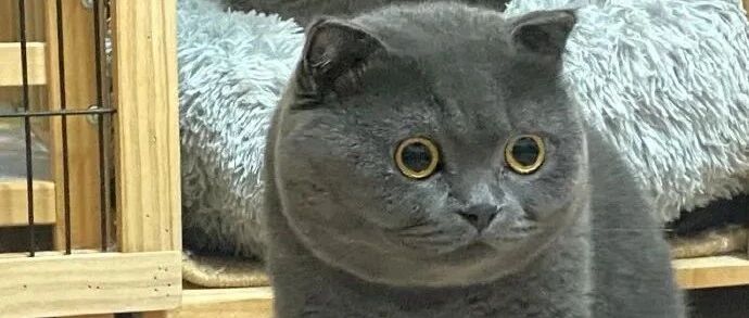 裤子破洞后有多好笑