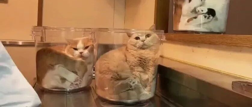 我发现了一个让整个数学系崩塌的漏洞