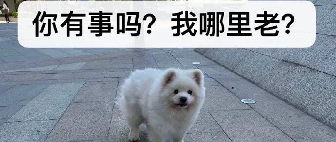 当代人生活现状