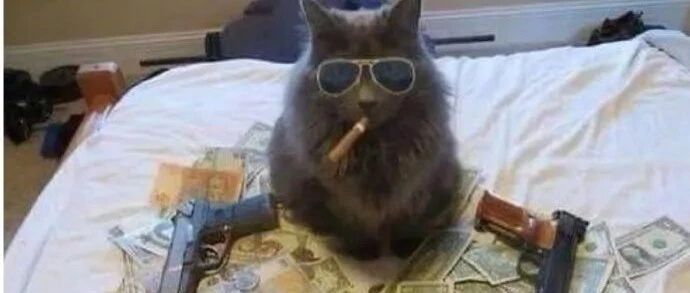 当我看到别人穿毛茸茸的黑色大衣很好看时