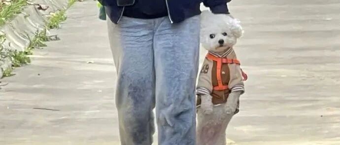 当代大学老师体测有多难