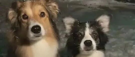 轮胎上这个标志是几个意思？