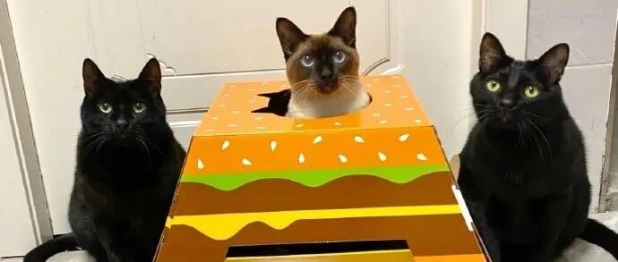 给朋友安利的我be like：