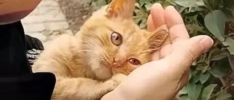 从订书针看出了胜负欲