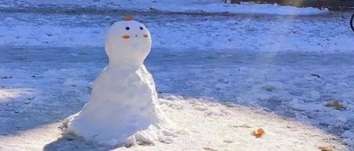 狗子长的像羊驼，这正常么？