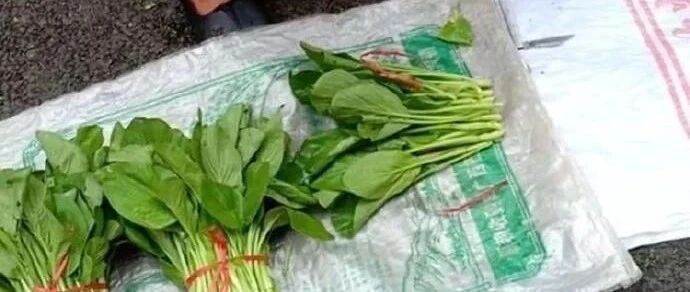 年底连鸡都在冲业绩