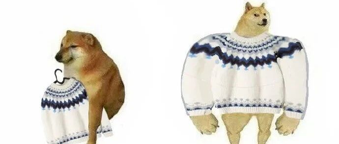 谁才是最好的编程语言 ？