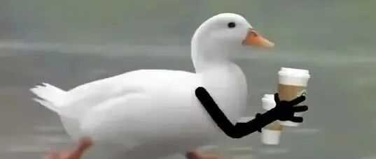 不烫头不死心，烫完头有想死的心