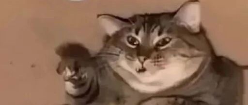 我拿你当大妈，你拿我当姐妹？