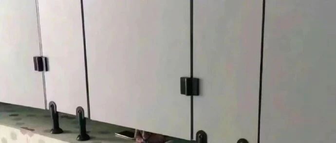 当代大学生内卷有多严重