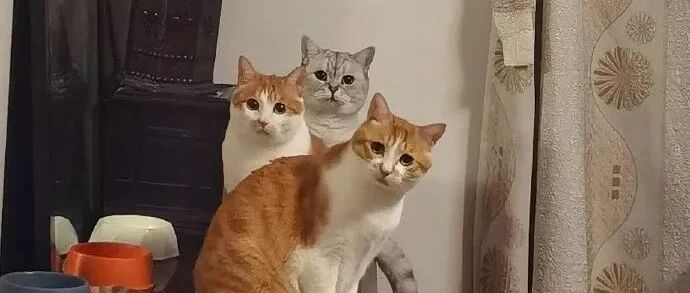 如何在图书馆保持专注