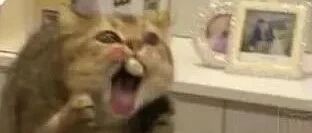 今天立秋，你知道意味着什么吗？