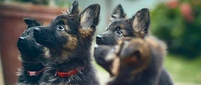 高考前考生都在干什么