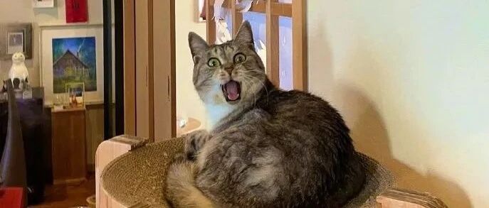 现在跑个步都这么卷的吗