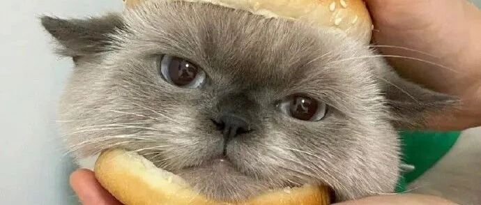 如何一句话让朋友血压升高