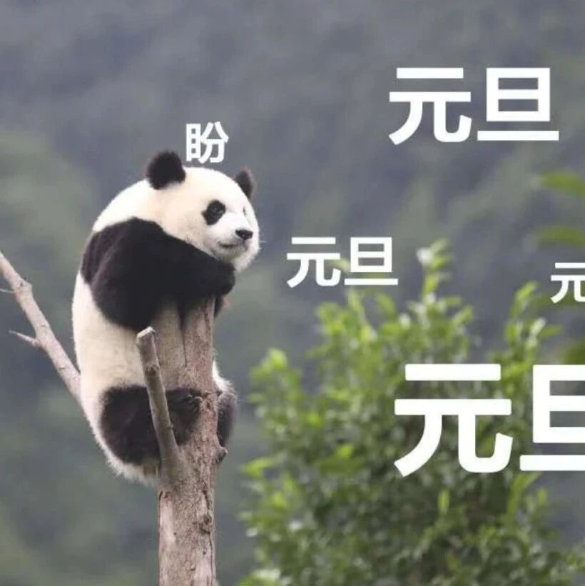 推荐一个大学生值得尝试的兼职！