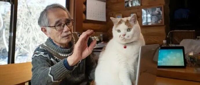 说好的尊老爱幼呢