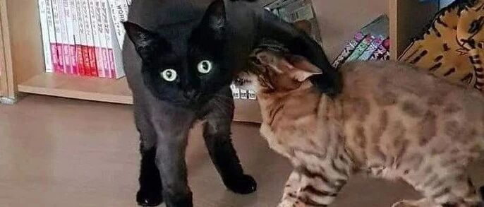 多年不见的同学朋友同事找你的原因