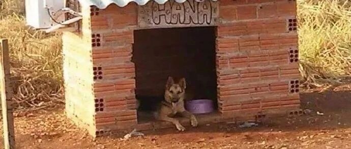 在我家后山发现的，大家知道这是什么嘛？