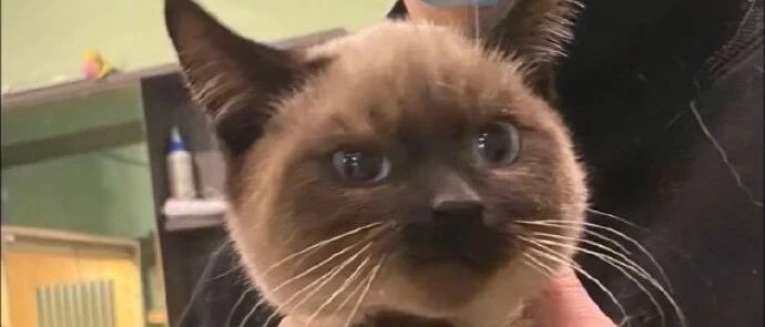 为什么不让法国研究无线电？