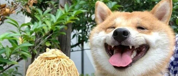 第一次见到这么新颖的文身