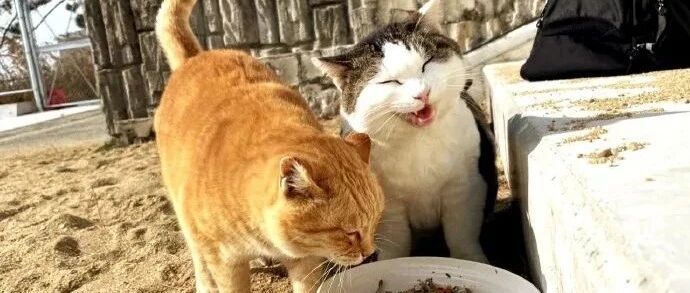 ​替爸爸感到焦虑了