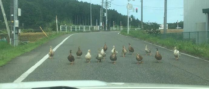 老师看了想打零分