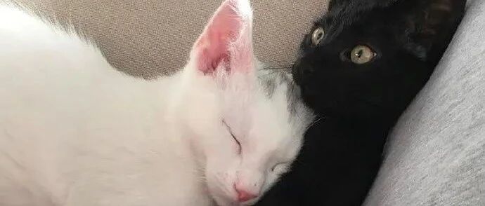 被父母治好的叛逆期，笑死！