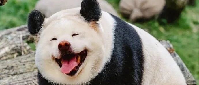 ​如何让对方为你敞开心扉