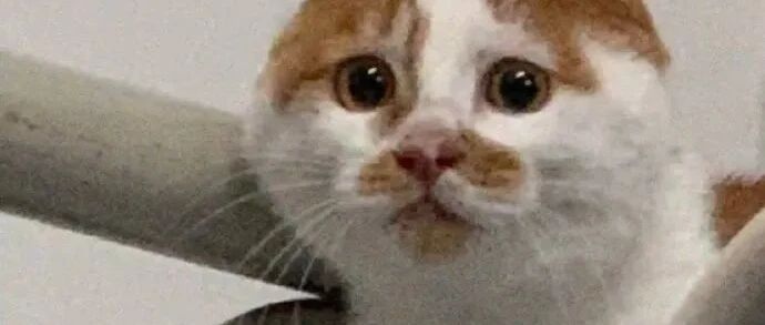 手机放口袋里的时候一定要锁好屏幕