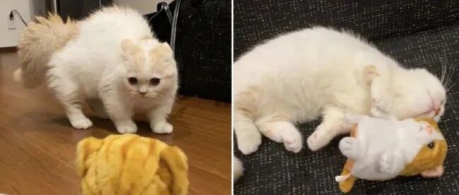 王医生：对不起我有罪