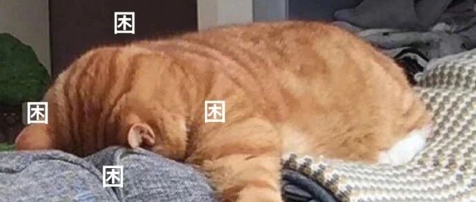 槽点好多一时不知道该笑哪个哈哈哈