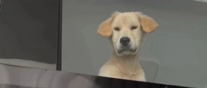 输入法靠谱有多重要