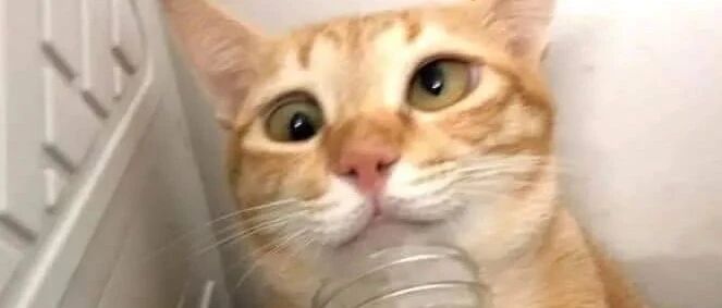 给假期出去玩的人的忠告