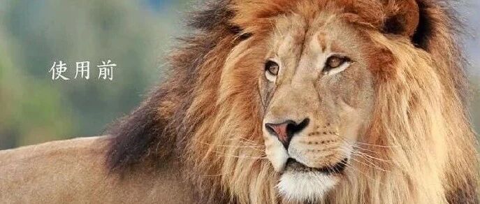 因为我长得太老气，被认成我爸的二奶